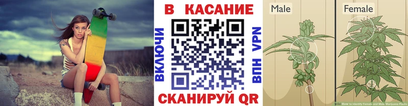ГАШИШ Калач-на-Дону