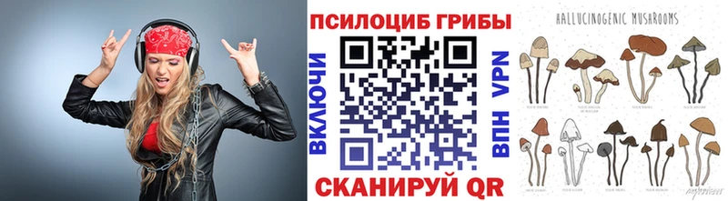 купить Калач-на-Дону дарк нет Telegram Псилоцибиновые грибы GOLDEN TEACHER