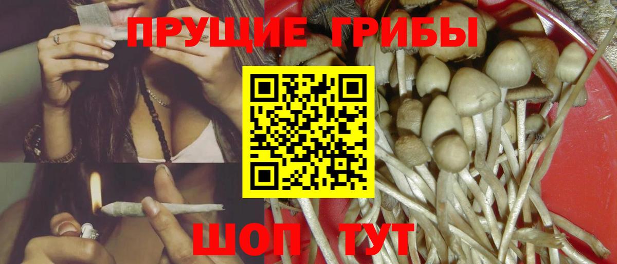 Галлюциногенные грибы Magic Shrooms  Вход с VPN  Калач-на-Дону 